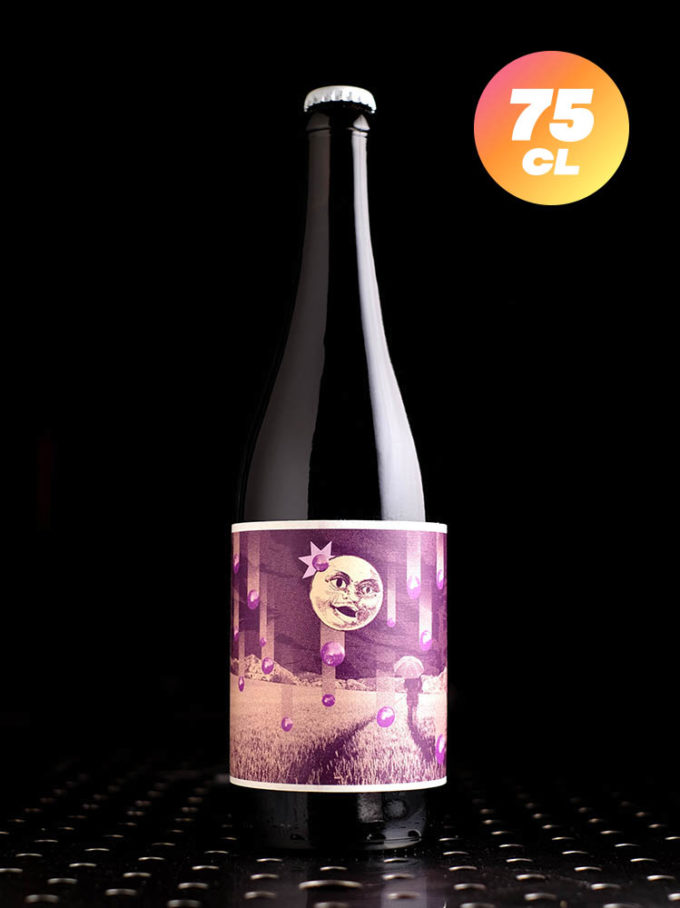 Sulauze | Bord De Champ | Lambic Style Mûre Sureau | 7%