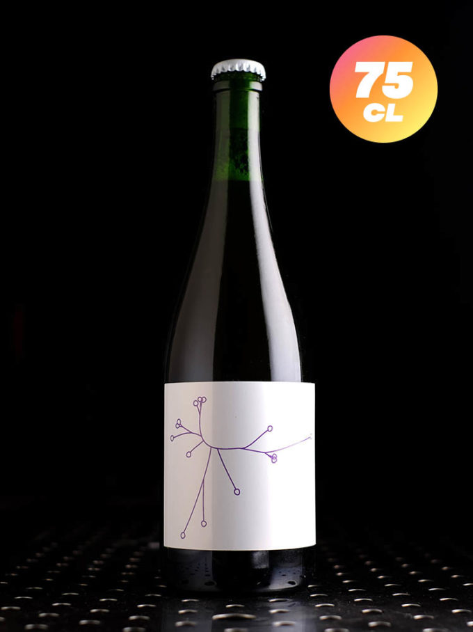 SPO | Amer Brett's Questche (2023) | Fermentation Mixte | 4,6%