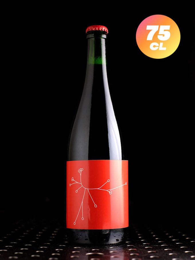 SPO | Stop ou Amphore 001 | Saison | 6,7%