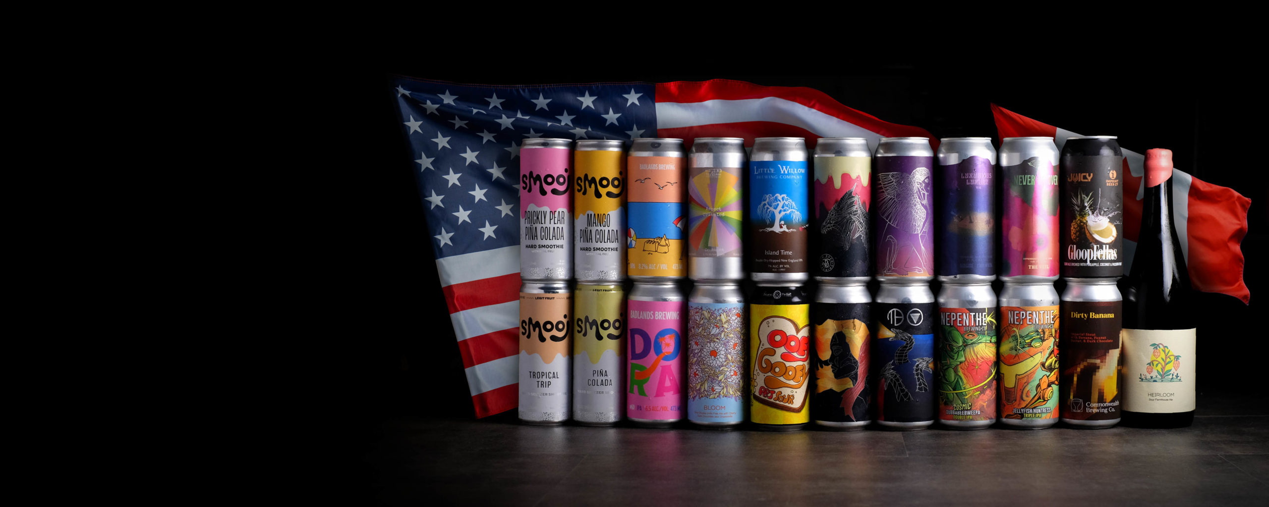 cover usa-web