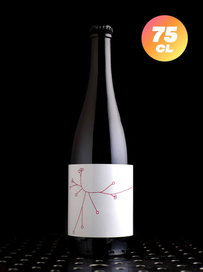 SPO | Lie Pêches de Vigne | Saison BA | 5,5%