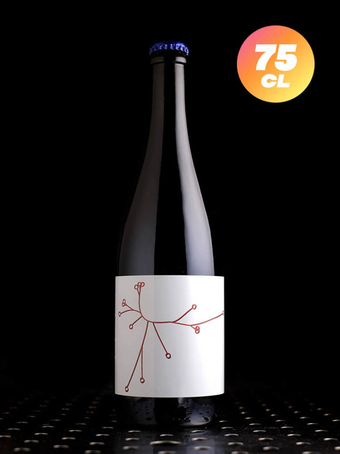 SPO | Rhubarbe 2023 | Wild | 6,2%